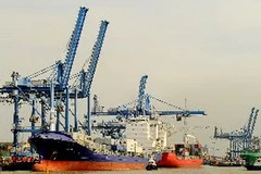 (Ảnh minh họa: Kim Phương/TTXVN)