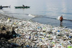 Rác thải từ các túi chất dẻo là một trong những vấn đề sinh thái lớn nhất hiện nay. (Ảnh minh họa: Internet). 