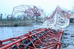 Tháp Truyền hình Nam Định sụp đổ vì bão. (Nguồn: VnExpress)