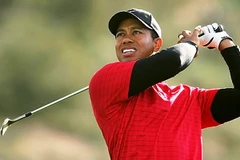 Tiger Woods. (Nguồn: Internet)