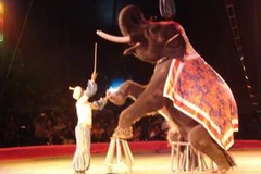 Ảnh minh họa. (Nguồn: Internet)