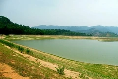 Ảnh minh họa. (Nguồn: Internet)