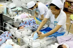 (Ảnh minh họa: Dương Ngọc/TTXVN)