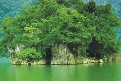 Vườn Quốc gia Ba Bể. (Ảnh: Internet).