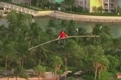 Nghệ sỹ Nik Wallenda từng biểu diễn nhiều màn mạo hiểm. (Nguồn: Internet)