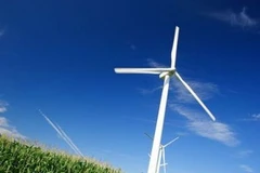 Ảnh minh họa. (Nguồn: Internet).