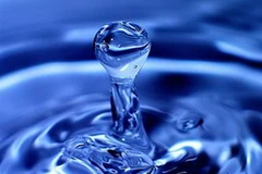 (Ảnh minh họa: Internet).