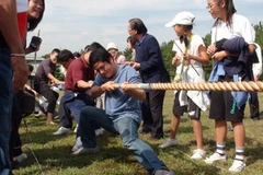 Một hoạt động tại Ngày gia đình ASEAN 2010. (Ảnh: Thanh Tùng/Vietnam+)