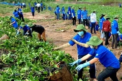 (Ảnh minh họa: Mạnh Linh/TTXVN)