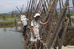 Đập bổi ngăn xâm nhập mặn. (Ảnh: Đoàn Hữu Trung/Vietnam+).