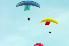 Ảnh minh họa. (Nguồn: Internet)