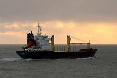 Ảnh minh họa. (Nguồn: Internet)