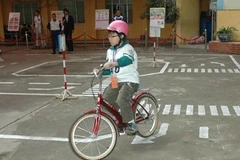 Một học sinh đang dự thi. (Ảnh: Văn Xuyên/Vietnam+).