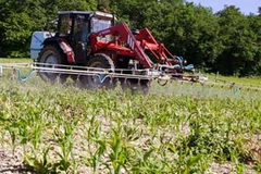 Phun thuốc trừ sâu. (Nguồn: Guardian)