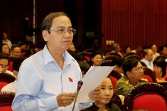 Đại biểu Quốc hội tỉnh Bình Thuận, Lê Đắc Lâm phát biểu ý kiến. (Ảnh: Nguyễn Dân/TTXVN)