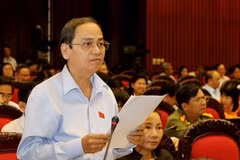 Đại biểu Quốc hội tỉnh Bình Thuận, Lê Đắc Lâm phát biểu ý kiến. (Ảnh: Nguyễn Dân/TTXVN)