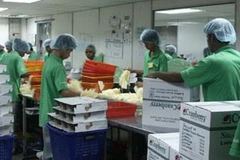 Lao động Việt Nam tại Malaysia. (Ảnh: Internet).