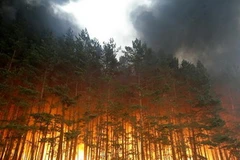 Cháy rừng ở Nga năm 2010. (Nguồn: Internet)