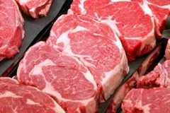 (Nguồn: theecologist.org)