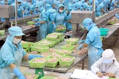 Thủy sản là một trong những mặt hàng xuất khẩu của Việt Nam sang Nhật. (Ảnh minh họa: Duy Khương/TTXVN).