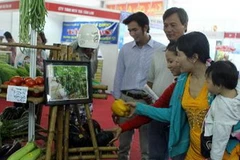 (Ảnh minh họa: Duy Khương/TTXVN)