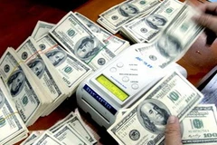 Ảnh minh họa. (Nguồn: Internet)