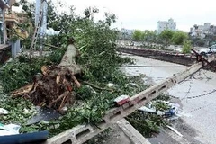 Hậu quả bão số 8. (Ảnh: Tuấn Anh/TTXVN)