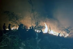 Quảng Ninh: Hỏa hoạn thiêu rụi gần 6ha rừng keo Nam Sơn