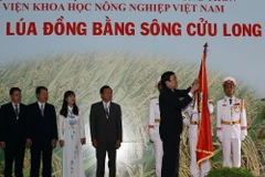 Viện Lúa ĐBSCL đón nhận Huân chương Độc lập hạng nhất