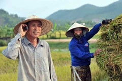 Ảnh chỉ mang tính minh họa. (Nguồn: Internet)