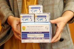 (Ảnh: TTXVN/Vietnam+)