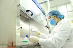 (Ảnh: TTXVN/Vietnam+)