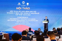 Thứ trưởng Bộ Y tế Trần Văn Thuấn phát biểu tại Hội thảo. (Ảnh: PV/Vietnam+)