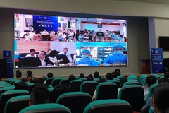 Các điểm cầu trao đổi thông qua hệ thống hỗ trợ tư vấn khám, chữa bệnh từ xa. (Ảnh: T.G/Vietnam+)