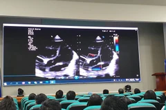 Một buổi đào tạo trực tuyến cho các bác sỹ. (Ảnh: PV/Vietnam+) 