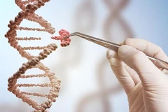 Bổ sung dinh dưỡng là cách để tăng sức đề kháng cho cơ thể. (Ảnh: PV/Vietnam+)