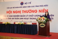 Bộ trưởng Bộ Y tế Đào Hồng Lan phát biểu tại hội nghị. (Ảnh: PV/Vietnam+)
