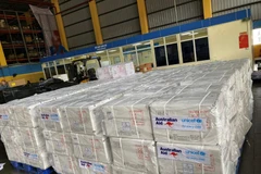 Viện Vệ sinh dịch tễ Trung ương đã tiếp nhận 490.600 liều vaccine DPT-VGB-Hib do Chính phủ Australia tài trợ cho Việt Nam. (Ảnh: PV/Vietnam+)