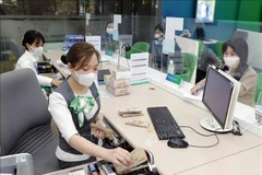 (Ảnh minh họa: TTXVN/Vietnam+)