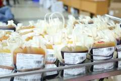 [Mega Story] Giải mã bệnh COVID-19 có lây truyền qua đường máu?