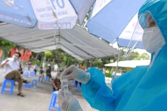 Nhân viên y tế làm công tác xét nghiệm mẫu để phát hiện ca mắc COVID-19. (Ảnh: TTXVN/Vietnam+)