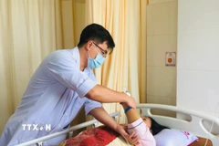 Ảnh minh họa. (Nguồn: TTXVN)