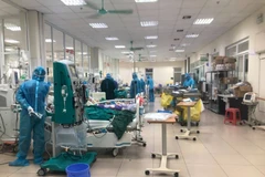 Điều trị cho bệnh nhân mắc COVID-19 trong tình trạng nặng tại Bệnh viện Bệnh Nhiệt đới Trung ương. (Ảnh: PV/Vietnam+)