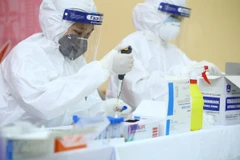 Xét nghiệm mẫu bệnh phẩm xác định bệnh COVID-19 cho người dân. (Ảnh: TTXVN/Vietnam+)