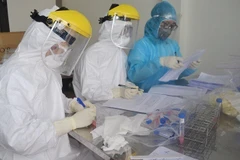 Nhân viên y tế làm công tác xét nghiệm. (Ảnh: TTXVN/Vietnam+)
