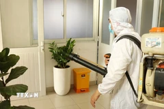 Ảnh minh họa. (Nguồn: TTXVN)