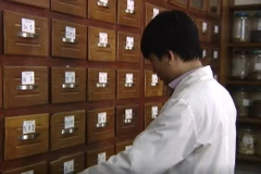 Hội Đông y Việt Nam đã có 695.000 hội viên trên toàn quốc. (Ảnh: Thùy Giang/Vietnam+)