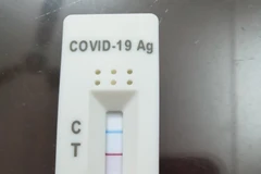 Một mẫu test của người dân tự thực hiện tại nhà. (Ảnh: PV/Vietnam+)