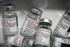 Vaccine ngừa COVID-19 của Hãng dược phẩm Moderna. Ảnh: AFP/TTXVN