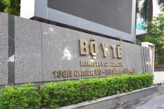  (Ảnh: PV/Vietnam+)